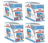Royal Canin Medium Puppy | Paquete de 4 | 4 x 10 x 140 g | Comida húmeda para Cachorros de tamaño Mediano | hasta los 12 Meses de Edad | para el Cerebro | Trozos en Salsa