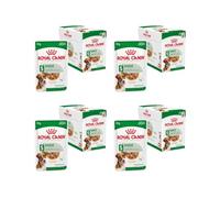 Royal Canin Mini Adult en Salsa | Pack de 4 | 4 x 12 x 85 g | Comida húmeda para Perros pequeños Adultos (de 1 a 10 kg) | De 10 Meses a 12 años | Contenido energético Ajustado