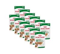 Royal Canin Mini Ageing 12+ | 12 x 85 g | Alimento completo para perros mayores de razas pequeñas | Puede ayudar a apoyar la salud renal de los perros | En salsa
