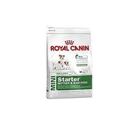 Royal Canin Starter Mother & Babydog Mini - Pienso seco para cachorro recién nacido y perra gestante/lactante de tamaño pequeñ - Cantidad: 1 kg