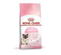 Royal Canin Mother & Babycat - Pienso para gatito recién nacido y gata gestante/lactante - Cantidad: 400 g