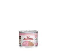 Royal Canin Mother & Babycat Mousse | 12 x 195 g | Alimento Completo para Gatos | Especial para gatas Madres y Sus Cachorros | para reforzar Las defensas del organismo