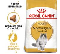 Royal Canin Gato Norwegian Forest 10 Kg