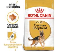 Royal Canin Pastor Alemán Adulto - Pienso para perros de raza pura - Cantidad: 15 kg