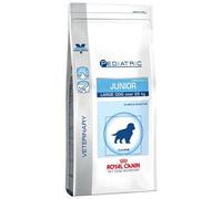 Royal Canin Pediatric Junior Large