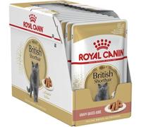 Royal Canin Pelo corto británico en comida húmeda para gatos GRAVY (24 x 85 g)