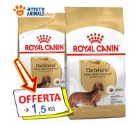 Royal Canin Perro → Adult, Dachshund (Salchicha) - 1,5 /7,5 KG - Para Perro,
