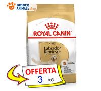Royal Canin Perro → Adult, Labrador Retriever - 3/12 KG - Croquetas Perro,
