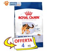 Royal Canin Maxi Adult - Pienso para perros grandes - Cantidad: 4 kg