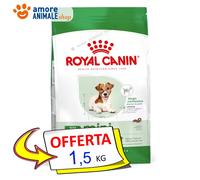 Royal Canin Perro → Adult Mini Tipo 12 800 Gr / 1,5 /3,5 KG Croquetas Perro