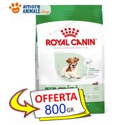 Royal Canin Perro → Adult Mini Tipo 12 800 Gr / 1,5 /3,5 KG Croquetas Perro