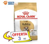 Royal Canin Perro → Adulto, BULLDOG - 3 / 12 kg - Croquetas Para Perros