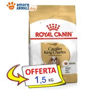 Royal Canin Perro → Adulto, Cavalier King - 1,5 / 7,5 Kg - Croquetas Para Perro
