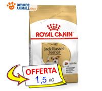 Royal Canin Perro → Adulto, JACK RUSSELL - 3.3 Lbs - Croquetas Para Perros
