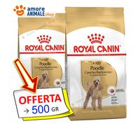 Royal Canin Perro → Adulto, Poodle (Barbón) - 500 Gr / 1,5 Kg - Para Perro