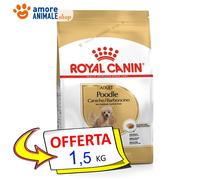 Royal Canin Perro → Adulto, Poodle (Barbón) - 500 Gr / 1,5 Kg - Para Perro