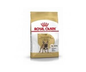 Royal canin perro bulldog francés adult, 3 kg