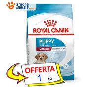 Royal Canin Perro Cachorro Mediano - 1 / 10 / 15 kg - Croquetas Pienso Seco