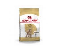 Royal canin perro caniche adult, 1.5 kg