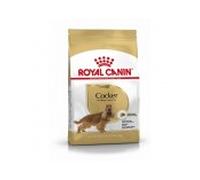 Royal canin perro cocker adult, 3 kg