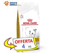 Royal Canin Perro - Dieta Urinary S/O Small Adulto 1,5 kg y 4 kg Seco