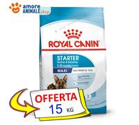 Royal Canin Perro → Maxi, STARTER Madre Y Cachorro - 4 / 15 Kg - Croquetas Perro