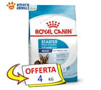 Royal Canin Perro → Maxi, STARTER Madre Y Cachorro - 4 / 15 Kg - Croquetas Perro