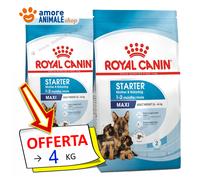 Royal Canin Perro → Maxi, STARTER Madre Y Cachorro - 4 / 15 Kg - Croquetas Perro