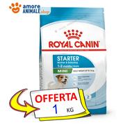 Royal Canin Perro → Mini, STARTER Madre Y Cachorro - 1 / 8 Kg - Croquetas Perro