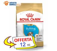 Royal Canin Perro → Puppy, Bulldog - 3/12 KG - Croquetas Perro, Seco para Perros