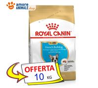Royal Canin Perro → Puppy Bulldog Francés - 10KG - Mantenimiento Para Perro,