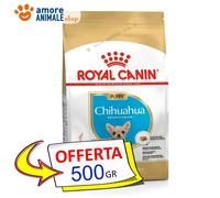 Royal Canin Perro → Puppy, Chihuahua - 500 Gr / 1,5 KG - Croquetas Perro, para