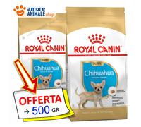 Royal Canin Perro → Puppy, Chihuahua - 500 Gr / 1,5 KG - Croquetas Perro, para