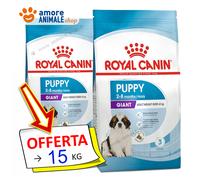 Royal Canin Perro → Puppy Giant - 3,5/15 KG - Croquetas Perro, Seco Perros