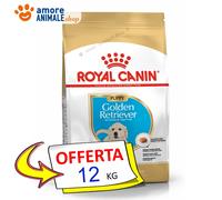Royal Canin Perro → Puppy,Golden Nag Chandan Retriever - 12KG - Croquetas