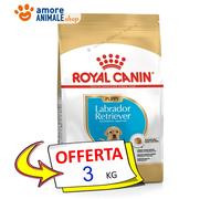 Royal Canin Perro → Puppy, Labrador Retriever - 3/12 KG - Croquetas Perro,
