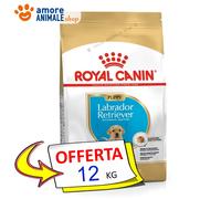 Royal Canin Perro → Puppy, Labrador Retriever - 3/12 KG - Croquetas Perro,