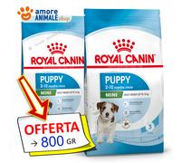 Royal Canin Perro → PUPPY MINI - 800 Gr / 2 / 4 / 8 Kg - Croquetas Perro, Perros