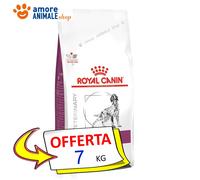 Royal Canin Perro →Veterinary Renal - 2/7/14 KG - Dietas Perro Croquetas Perros