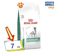 Royal Canin VET Glycobalance - Pienso para perros adultos con diabetes - Cantidad: 7 kg