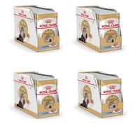 Royal Canin 9003579001165 comida húmeda para gatos 85 g