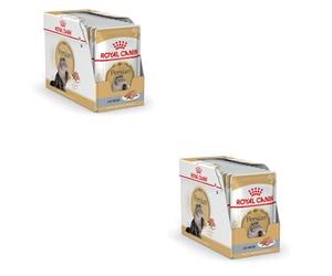ROYAL CANIN Persian Adult Mousse | Paquete Doble | 2 x 12 x 85 g | Alimento Completo para Gatos - Especialmente para Gatos persas Adultos | Adecuado a Partir de los 12 Meses
