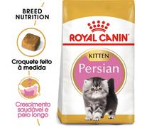 Royal Canin Persian Kitten - Pienso seco para gatitos de raza - Cantidad: 2 kg