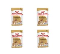 Royal Canin Pomeranian Adult | 12 x 85 g | Alimento Completo para Perros (Mousse) | para Pomeranias Adultos y Mayores | A Partir de los 8 Meses | Contenido Mineral Ajustado