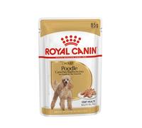 Royal Canin Poodle Adult | 12 x 85 g | Comida húmeda para caniches Adultos y Mayores | A Partir de 10 Meses de Edad | para el Mantenimiento del Pelaje | con una Textura Sabrosa