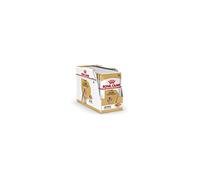 Royal Canin Poodle Adult | 12 x 85g | Alimento húmedo para caniches Adultos y Ancianos | A Partir de 10 Meses de Edad | para el Mantenimiento del Pelo | con una Textura Sabrosa