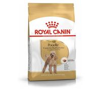 Royal Canin Poodle Adult | 3 kg | Alimento seco para Caniches Adultos | para Mantener el Pelaje y el Tono Muscular | para Perros a Partir de los 10 Meses de Edad