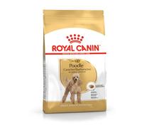 Royal Canin Poodle Adult | 500 g | Alimento seco para Caniches adultos | Para mantener el pelaje y el tono muscular | Para perros a partir de los 10 meses de edad.