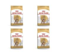 Royal Canin Poodle Adult | Paquete de 4 | 4 x 500 g | Alimento seco para Caniches Adultos | para Mantener el Pelaje y el Tono Muscular | para Perros a Partir de los 10 Meses de Edad
