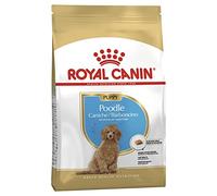 Royal Canin Poodle/Caniche Puppy - Pienso para cachorro de raza - Cantidad: 3 kg